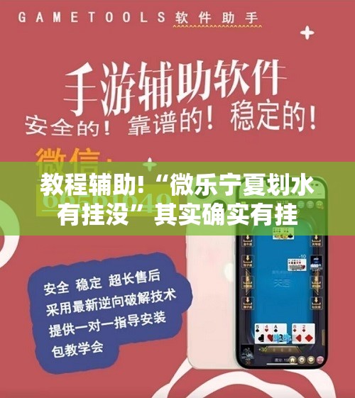 教程辅助!“微乐宁夏划水有挂没”其实确实有挂