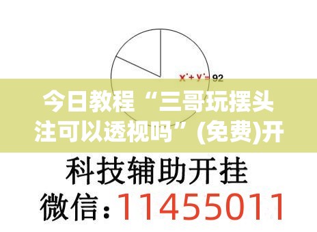 今日教程“三哥玩摆头注可以透视吗”(免费)开挂辅助教学(最新辅助开挂教程)