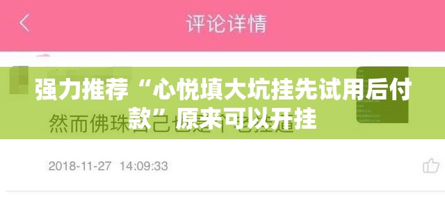 强力推荐“心悦填大坑挂先试用后付款”原来可以开挂