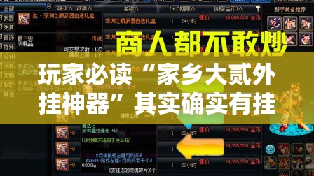 玩家必读“家乡大贰外挂神器	”其实确实有挂