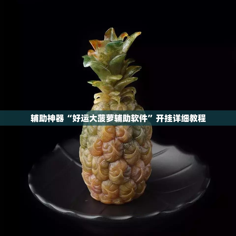 辅助神器“好运大菠萝辅助软件”开挂详细教程