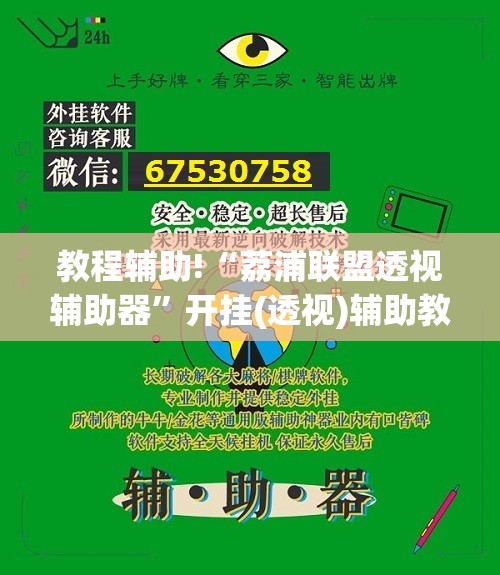 教程辅助!“荔浦联盟透视辅助器”开挂(透视)辅助教程