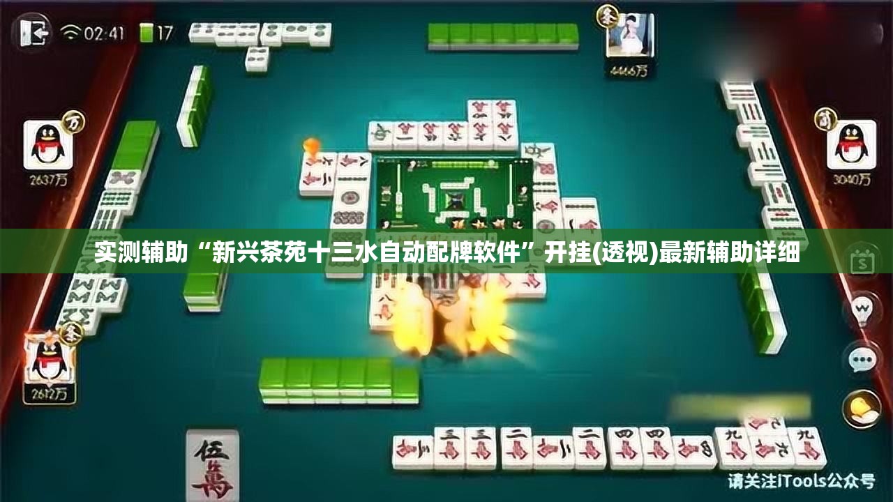 实测辅助“新兴茶苑十三水自动配牌软件”开挂(透视)最新辅助详细