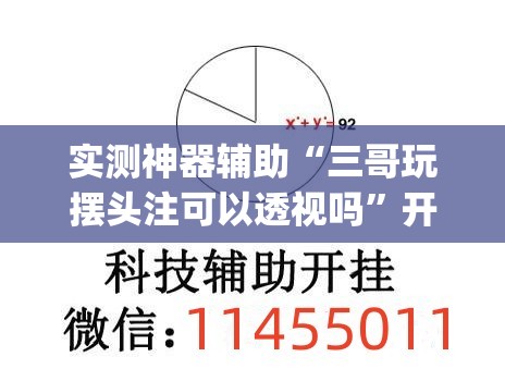 实测神器辅助“三哥玩摆头注可以透视吗”开挂(透视)辅助教程