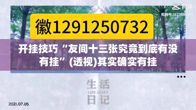 开挂技巧“友间十三张究竟到底有没有挂	”(透视)其实确实有挂