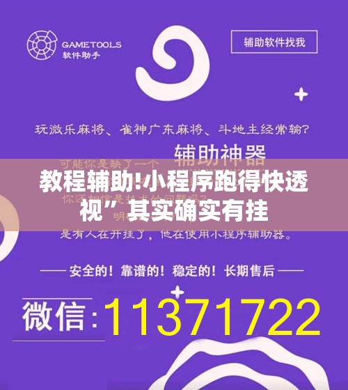 教程辅助!小程序跑得快透视”其实确实有挂
