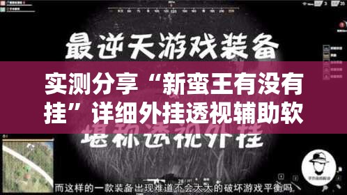 实测分享“新蛮王有没有挂”详细外挂透视辅助软件教程