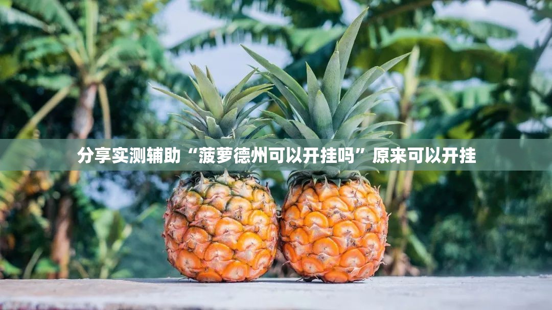 分享实测辅助“菠萝德州可以开挂吗”原来可以开挂