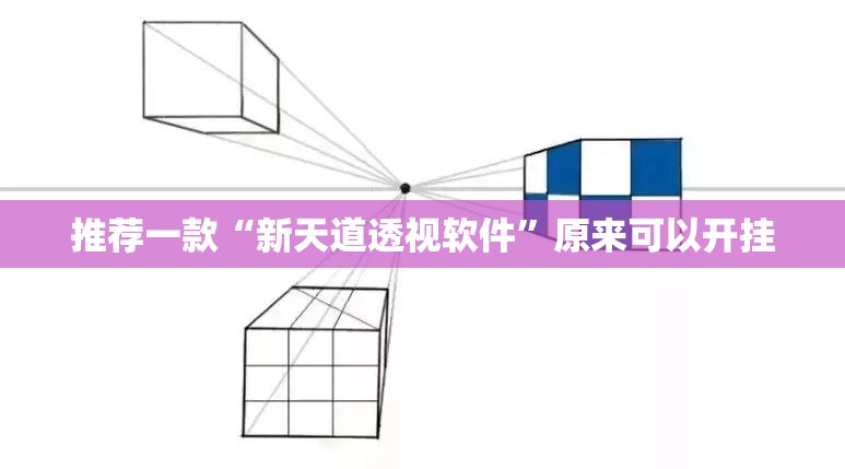 推荐一款“新天道透视软件”原来可以开挂