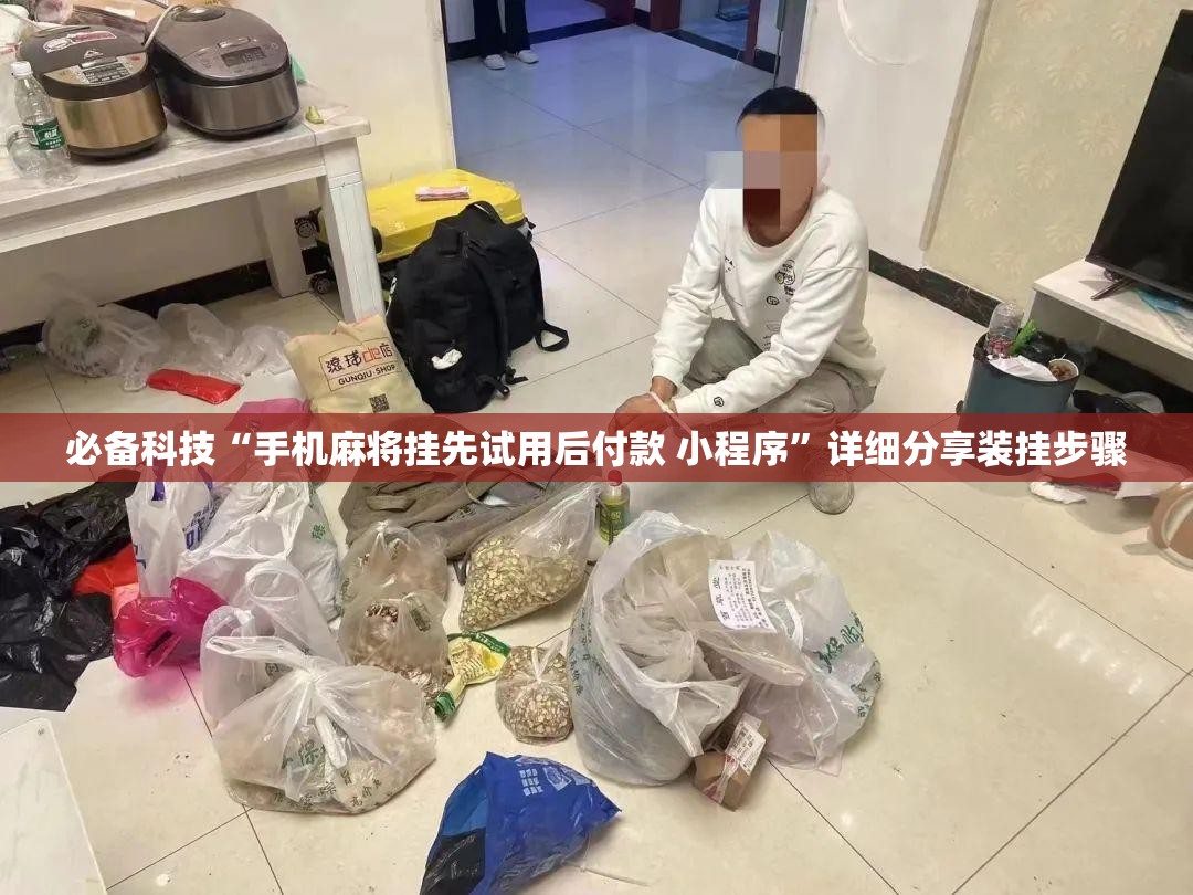 必备科技“手机麻将挂先试用后付款 小程序”详细分享装挂步骤