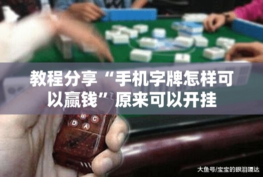教程分享“手机字牌怎样可以赢钱”原来可以开挂