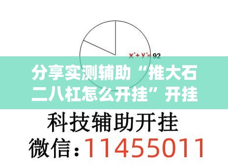 分享实测辅助“推大石二八杠怎么开挂”开挂(透视)最新辅助详细