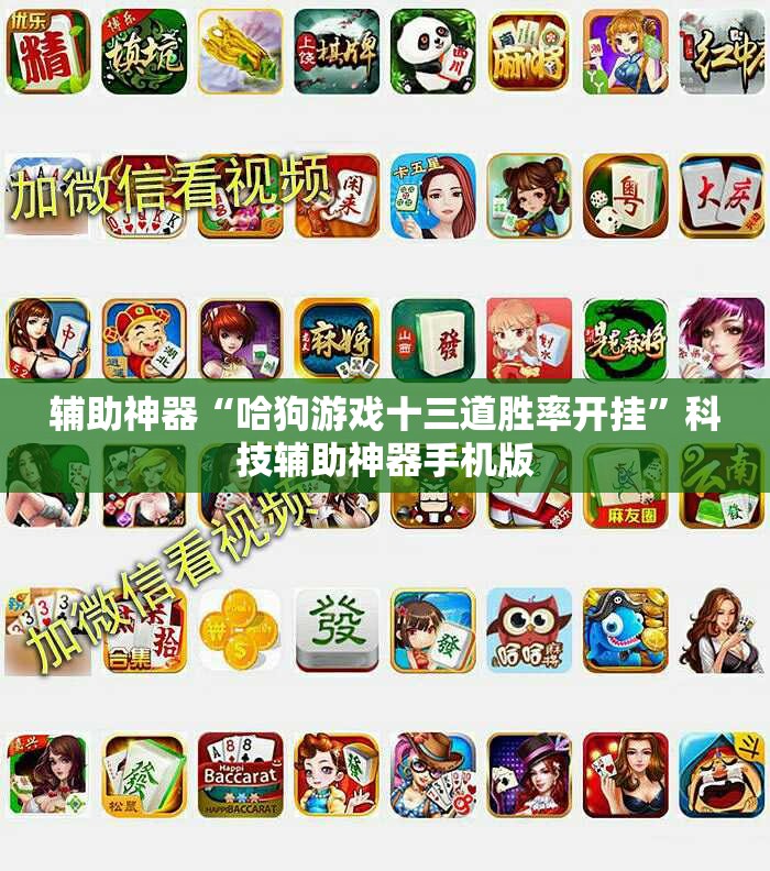 辅助神器“哈狗游戏十三道胜率开挂”科技辅助神器手机版