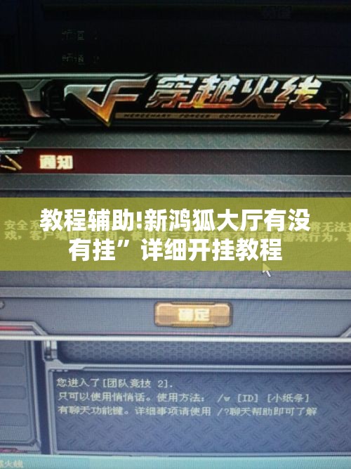 教程辅助!新鸿狐大厅有没有挂”详细开挂教程
