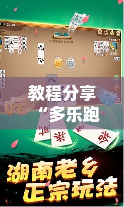 教程分享“多乐跑胡子有挂吗”细辅助教程分享