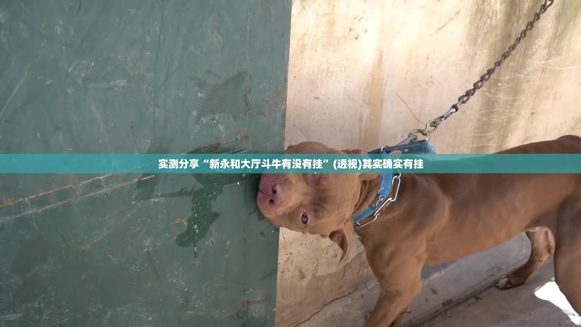 实测分享“新永和大厅斗牛有没有挂”(透视)其实确实有挂