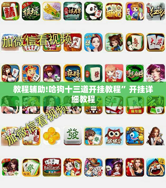 教程辅助!哈狗十三道开挂教程”开挂详细教程