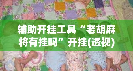 辅助开挂工具“老胡麻将有挂吗”开挂(透视)辅助教程