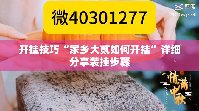 开挂技巧“家乡大贰如何开挂	”详细分享装挂步骤