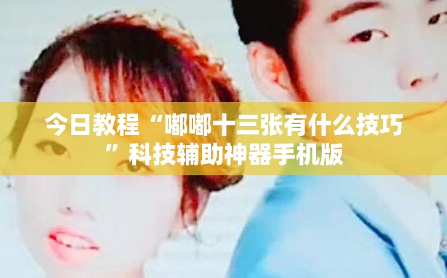 今日教程“嘟嘟十三张有什么技巧”科技辅助神器手机版