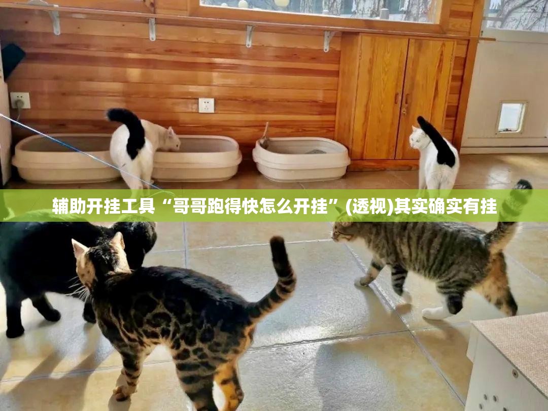 辅助开挂工具“哥哥跑得快怎么开挂	”(透视)其实确实有挂