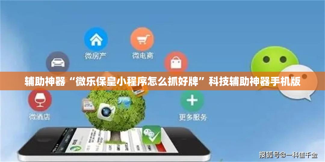 辅助神器“微乐保皇小程序怎么抓好牌”科技辅助神器手机版