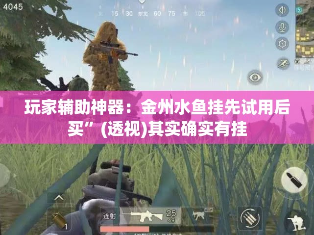 玩家辅助神器：金州水鱼挂先试用后买”(透视)其实确实有挂