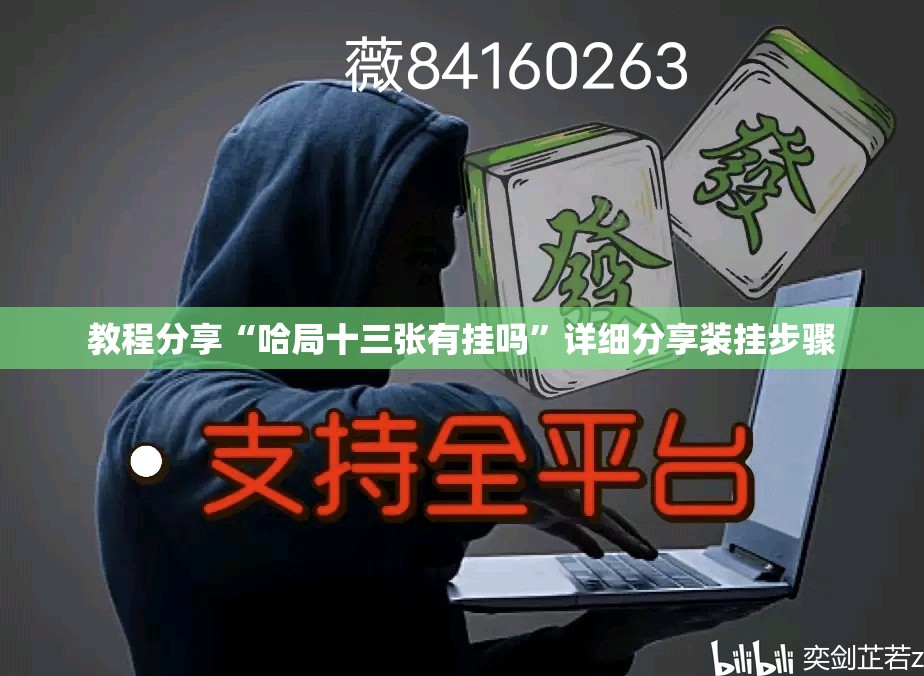 教程分享“哈局十三张有挂吗”详细分享装挂步骤