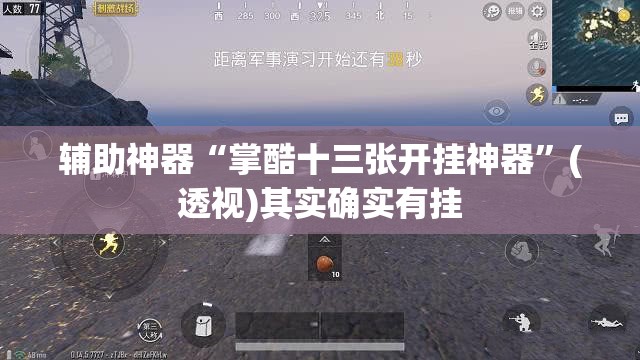 辅助神器“掌酷十三张开挂神器	”(透视)其实确实有挂