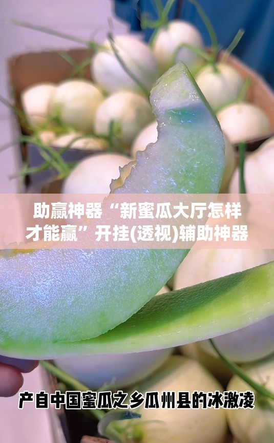 助赢神器“新蜜瓜大厅怎样才能赢”开挂(透视)辅助神器