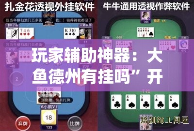 玩家辅助神器：大鱼德州有挂吗”开挂(透视)辅助神器