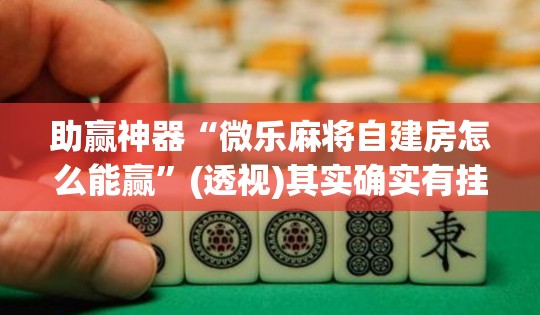 助赢神器“微乐麻将自建房怎么能赢”(透视)其实确实有挂