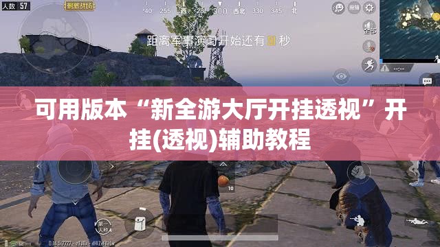 可用版本“新全游大厅开挂透视”开挂(透视)辅助教程