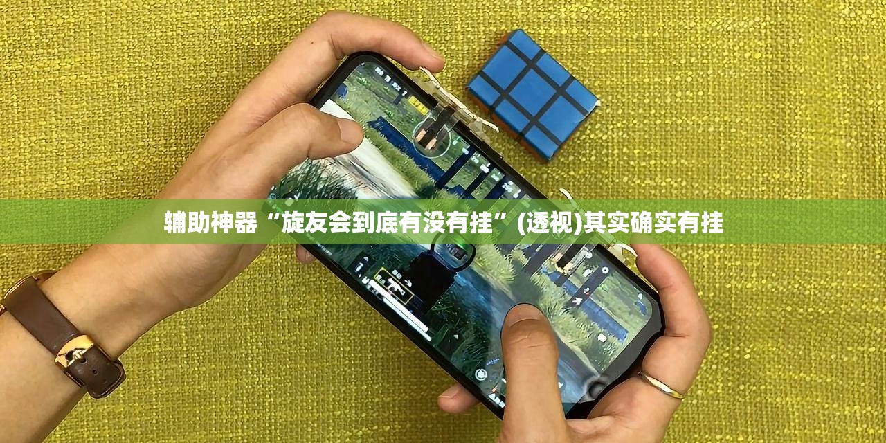 辅助神器“旋友会到底有没有挂”(透视)其实确实有挂