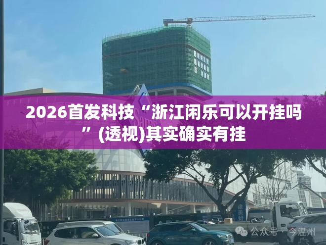 2026首发科技“浙江闲乐可以开挂吗”(透视)其实确实有挂