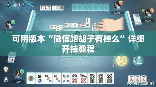 可用版本“微信跑胡子有挂么	”详细开挂教程