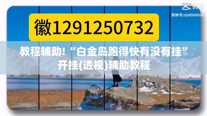 教程辅助!“白金岛跑得快有没有挂	”开挂(透视)辅助教程