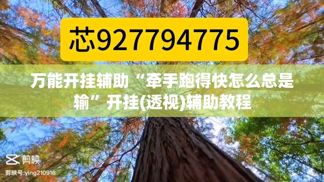 万能开挂辅助“牵手跑得快怎么总是输	”开挂(透视)辅助教程