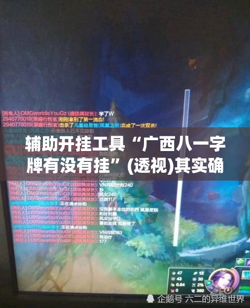 辅助开挂工具“广西八一字牌有没有挂”(透视)其实确实有挂
