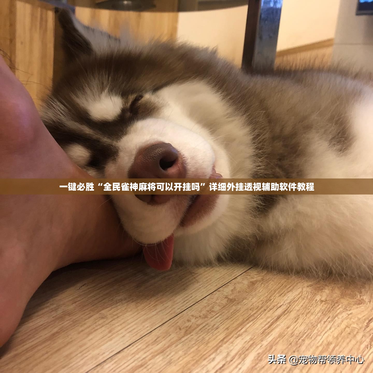 一键必胜“全民雀神麻将可以开挂吗”详细外挂透视辅助软件教程