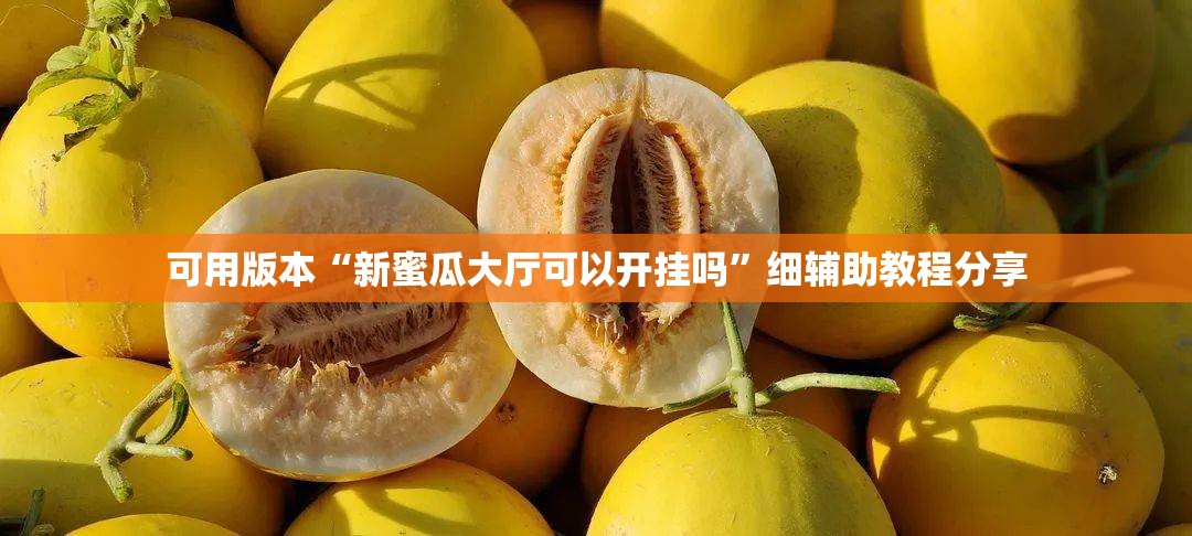 可用版本“新蜜瓜大厅可以开挂吗”细辅助教程分享