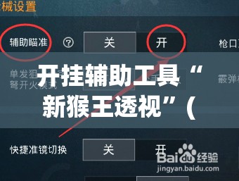 开挂辅助工具“新猴王透视”(辅助神器)开挂详细教程