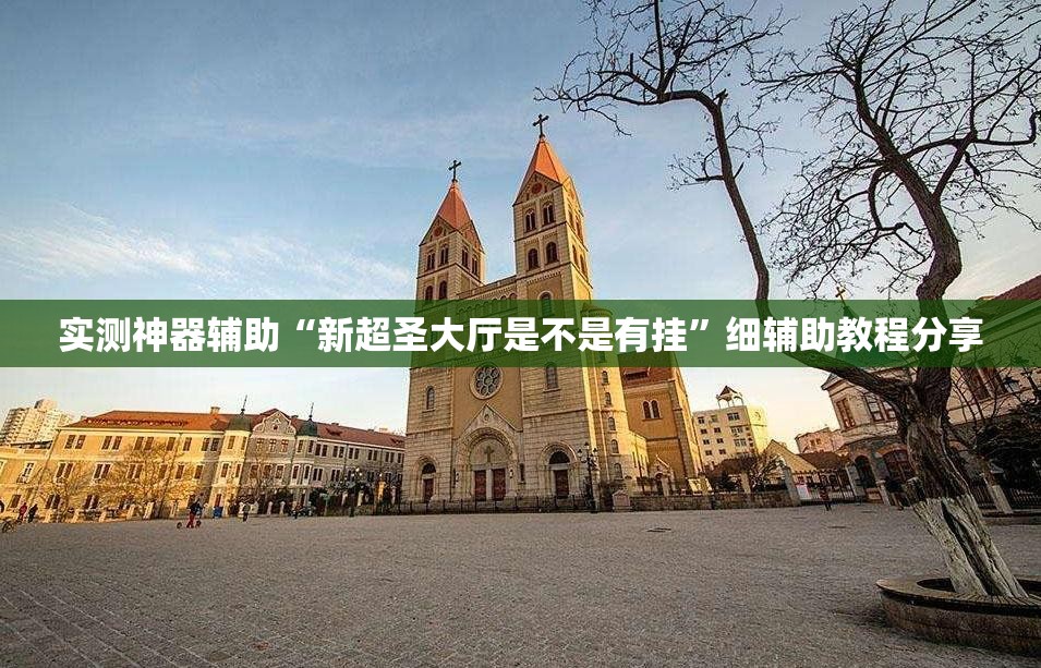 实测神器辅助“新超圣大厅是不是有挂”细辅助教程分享