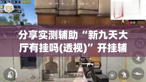 分享实测辅助“新九天大厅有挂吗(透视)”开挂辅助脚本+详细开挂安装教程