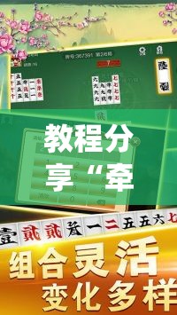 教程分享“牵手跑胡子挂多少钱一个	”(透视)其实确实有挂