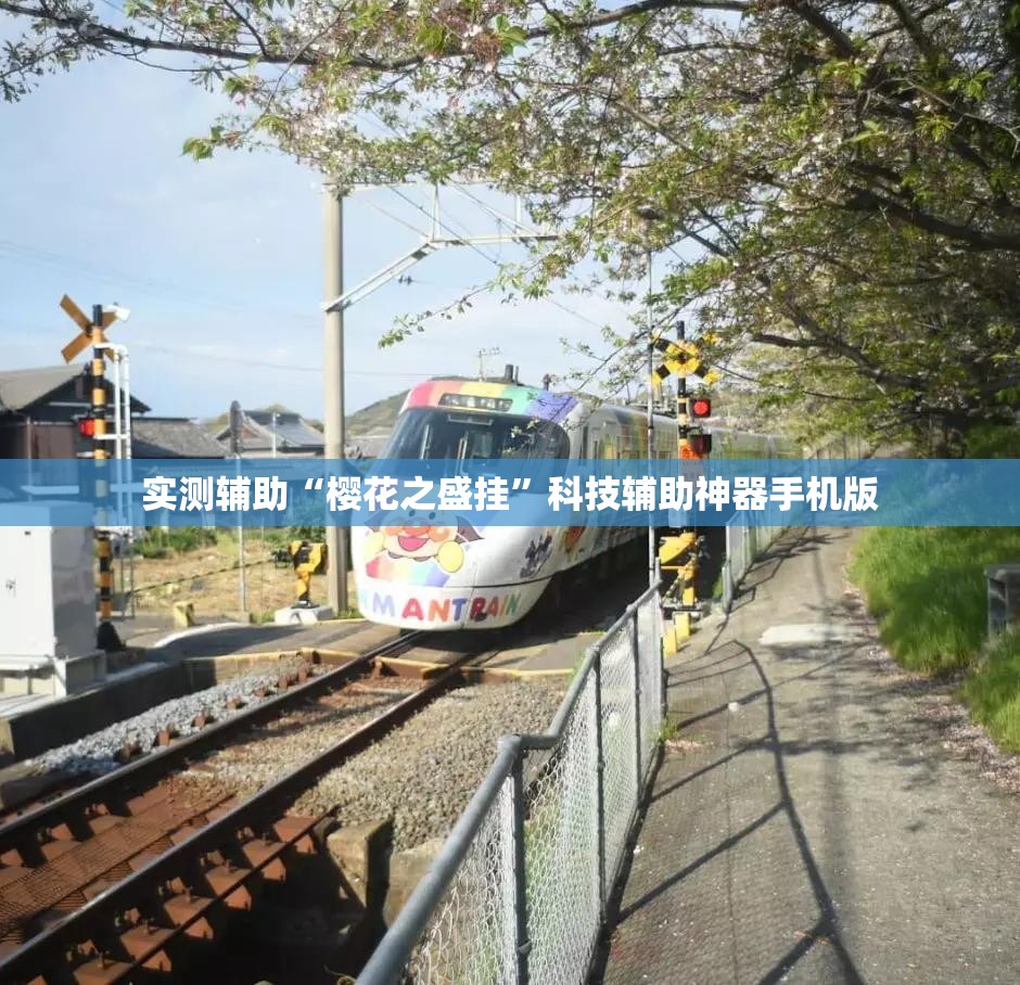 实测辅助“樱花之盛挂	”科技辅助神器手机版