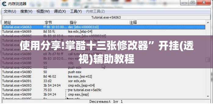 使用分享!掌酷十三张修改器	”开挂(透视)辅助教程