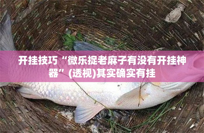 开挂技巧“微乐捉老麻子有没有开挂神器	”(透视)其实确实有挂