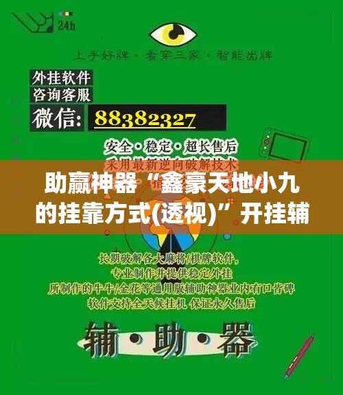 助赢神器“鑫豪天地小九的挂靠方式(透视)”开挂辅助脚本+详细开挂安装教程