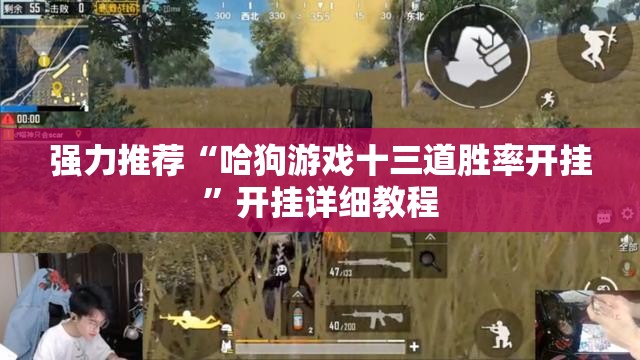 强力推荐“哈狗游戏十三道胜率开挂”开挂详细教程